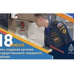День создания органов государственного пожарного надзора